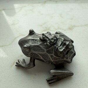 Silver Reptile Jewelry Box , necklace and earrings